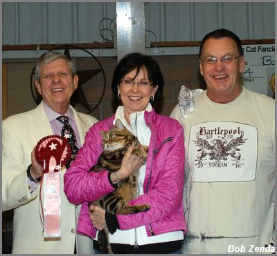 Stedam's Lucky 13 of Yankee  Star